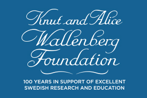 Knut and Alice Wallenberg Foundation, Sweden