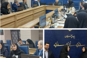 حضور دستیار پژوهش مرکز تحقیقات بازتوانی در گردهمایی برگزیدگان طرح دانا 