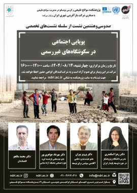 Social Dynamics in Informal Settlements