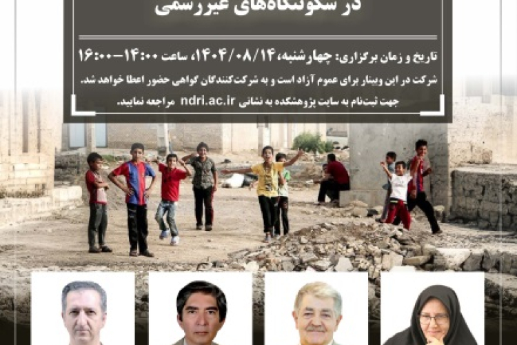 Social Dynamics in Informal Settlements