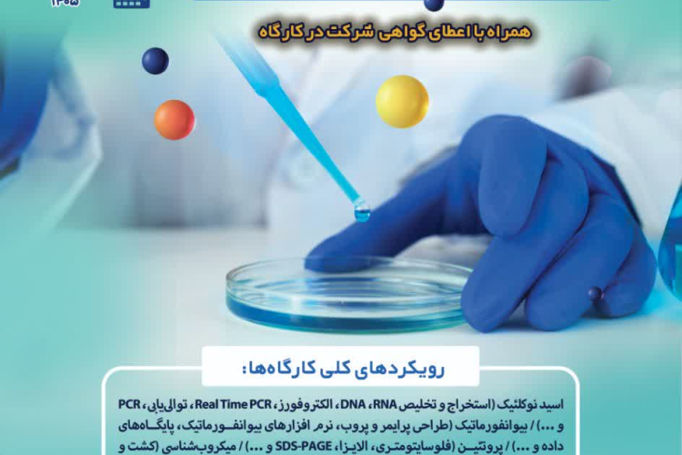 برگزاری کارگاه‌های مهارت‌آموزی تابستان 1405