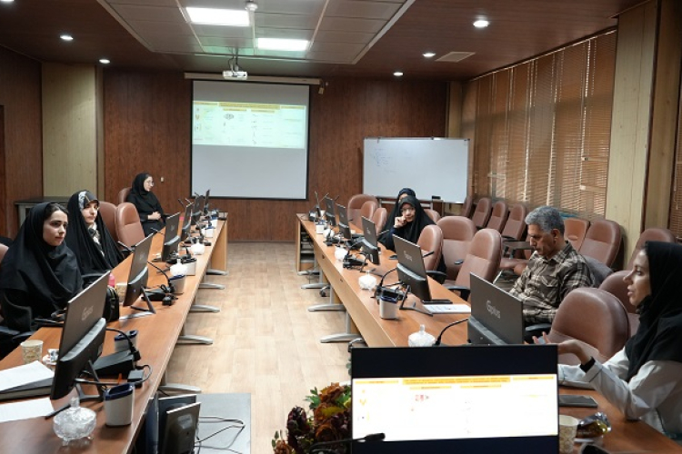 تمرینات ثباتی داینامیک و بومی‌سازی ابزارهای سنجش در توانبخشی بیماران ام‌اس