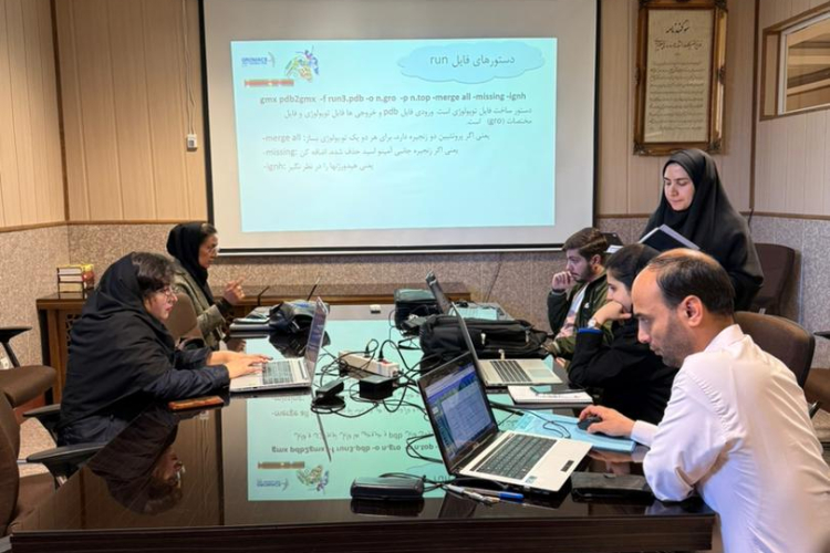 آشنایی با شبیه سازی دینامیک مولکولی