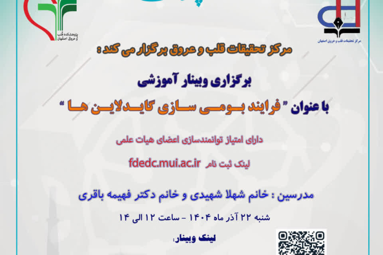 فرایند بـومـی سـازی گایـدلایـن هـا 