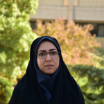 ارتباط آلودگی صوتی دوران بارداری با افزایش خطر سقط خودبه‌خودی