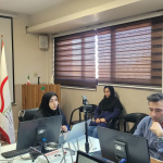 وبینار بومی‌سازی راهنماهای طبابت