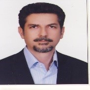 محمودرضا همامی